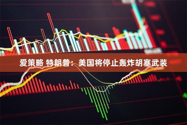 爱策略 特朗普：美国将停止轰炸胡塞武装