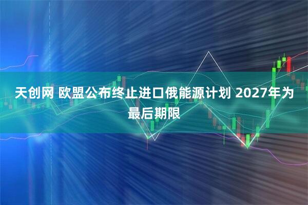 天创网 欧盟公布终止进口俄能源计划 2027年为最后期限