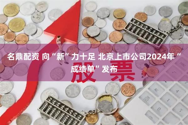 名鼎配资 向“新”力十足 北京上市公司2024年“成绩单”发布