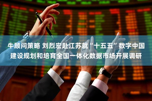 牛顾问策略 刘烈宏赴江苏就“十五五”数字中国建设规划和培育全国一体化数据市场开展调研