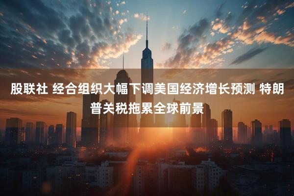 股联社 经合组织大幅下调美国经济增长预测 特朗普关税拖累全球前景