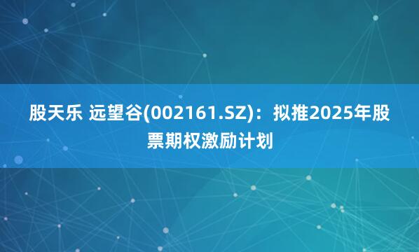 股天乐 远望谷(002161.SZ)：拟推2025年股票期权激励计划