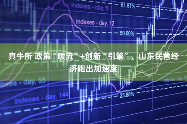 真牛所 政策“暖流”+创新“引擎”，山东民营经济跑出加速度