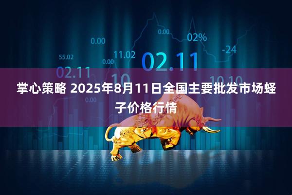 掌心策略 2025年8月11日全国主要批发市场蛏子价格行情