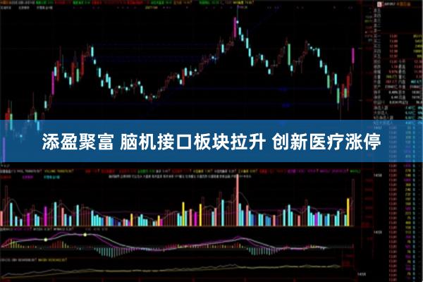 添盈聚富 脑机接口板块拉升 创新医疗涨停
