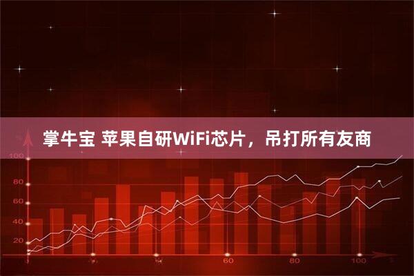 掌牛宝 苹果自研WiFi芯片，吊打所有友商