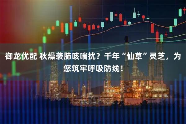 御龙优配 秋燥袭肺咳喘扰？千年“仙草”灵芝，为您筑牢呼吸防线！