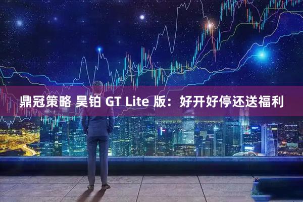 鼎冠策略 昊铂 GT Lite 版：好开好停还送福利