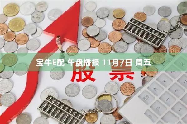 宝牛E配 午盘播报 11月7日 周五
