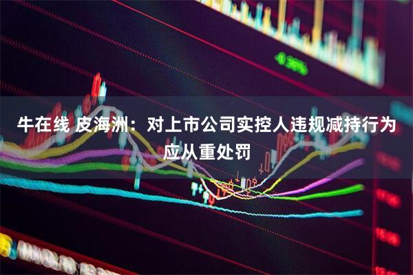 牛在线 皮海洲:对上市公司实控人违规减持行为应从重处罚