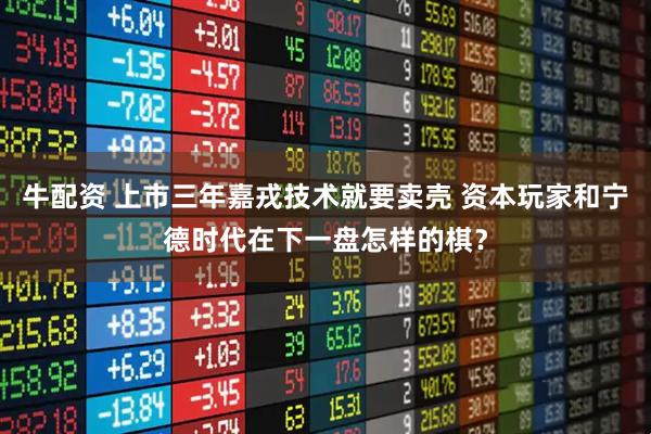 牛配资 上市三年嘉戎技术就要卖壳 资本玩家和宁德时代在下一盘怎样的棋?