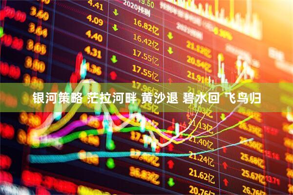 银河策略 茫拉河畔 黄沙退 碧水回 飞鸟归