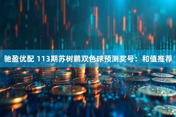 驰盈优配 113期苏树鹏双色球预测奖号：和值推荐
